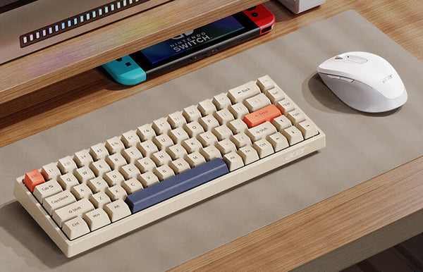 Disint Wireless Mechanical Keyboard and Mouse Combo
